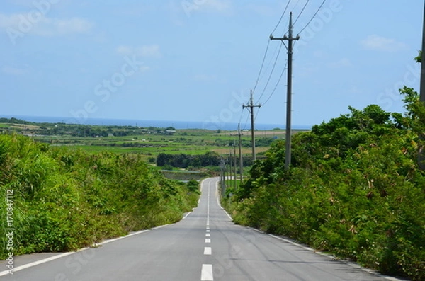 Fototapeta 石垣島の道路