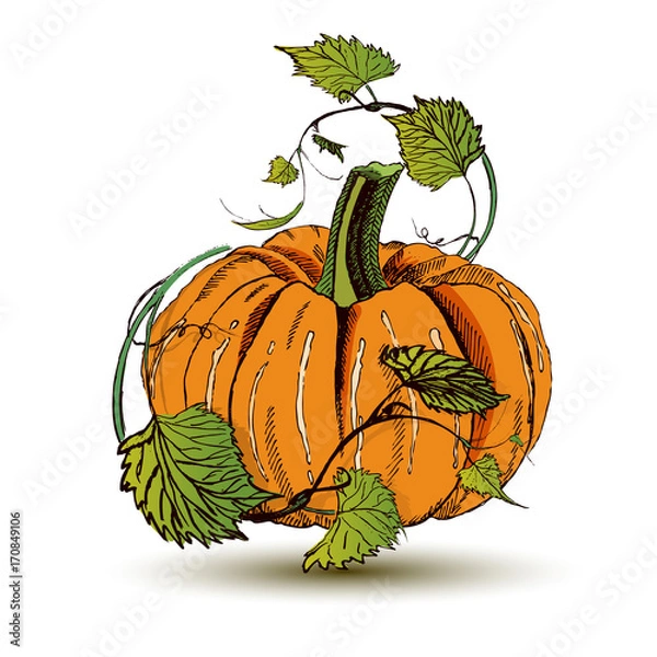 Fototapeta Hand drawn doodle pumpkin.