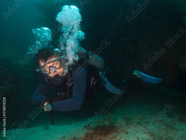 Fototapeta Alone diver in deep sea water.