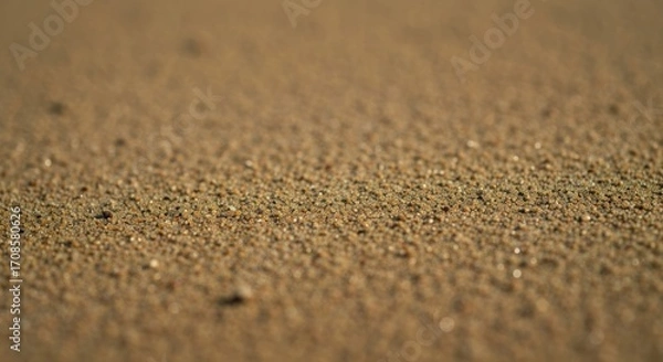 Fototapeta Close-up view of wet sand.  Fine-grained texture