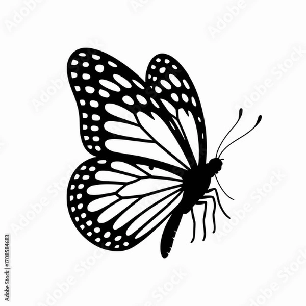 Obraz Monarch butterfly silhouette with detailed wing patterns