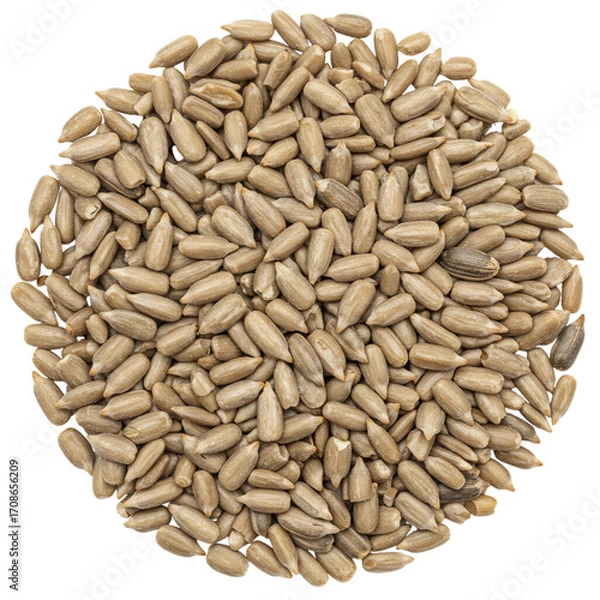Fototapeta Sunflower seeds in a pile are arranged in a circle on a transparent background isolate