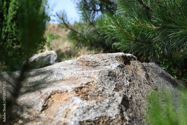 Fototapeta Close-up of a large textured stone surrounded by green pine branches and plants. Ideal for collages, product presentations, advertising layouts.