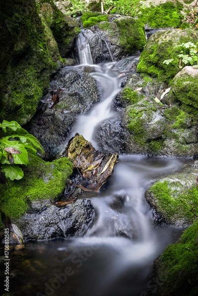 Fototapeta mountain rapids in limestone ravine