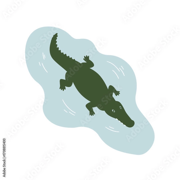 Fototapeta Top view of a green alligator swimming in light blue water with a white background