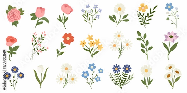 Fototapeta Collection of various hand drawn floral elements and botanical illustrations on white background
