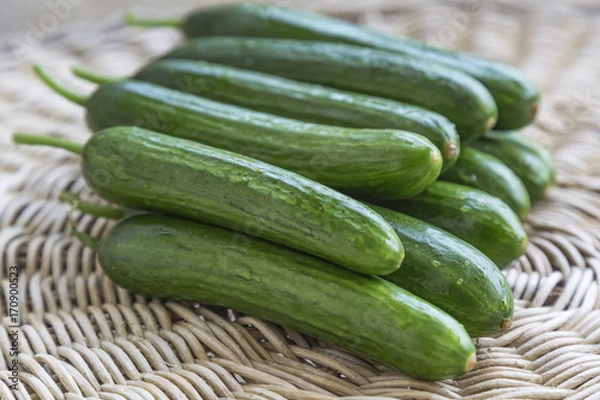 Obraz Fresh green cucumber isolated on table