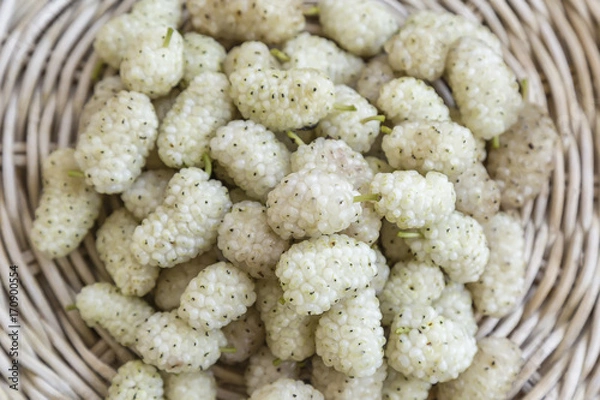 Obraz Fresh white mulberry