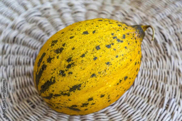 Obraz A whole fresh melon on the table