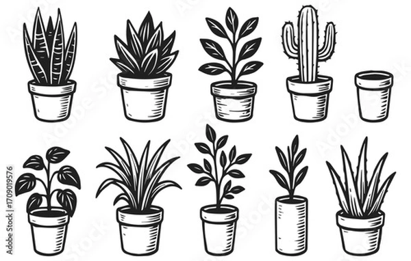 Fototapeta Potted plant doodle collection isolated on transparent background, generative ai