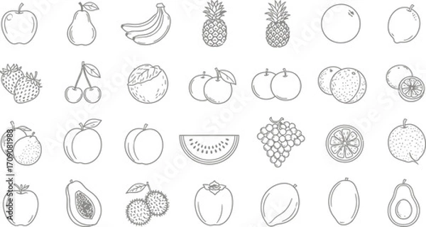 Fototapeta Vector outline drawing of various fruits healthy eating and nutrition design