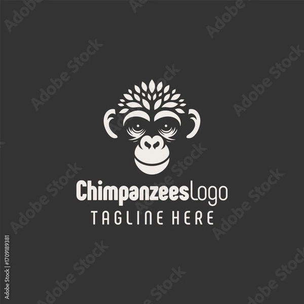 Fototapeta Refined Black White Chimpanzee Vector