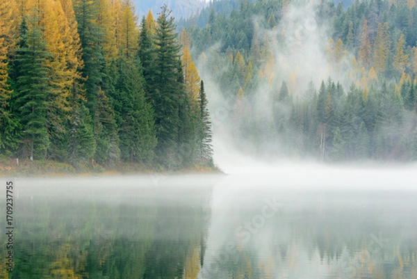 Obraz Misty Mountain Lake