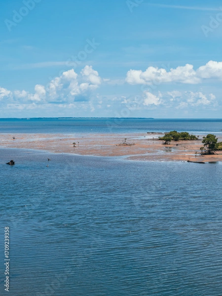 Fototapeta 西表島