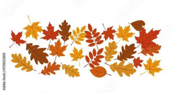 Obraz autumn leaves vector illustration