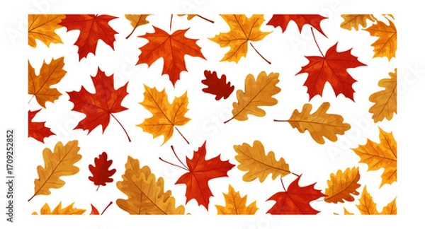 Obraz autumn leaves vector illustration