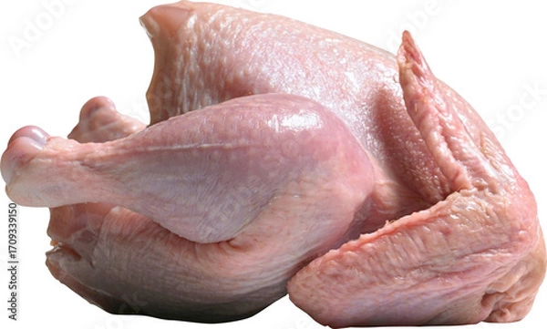 Obraz Chicken Meat Isolated On Transparent Background