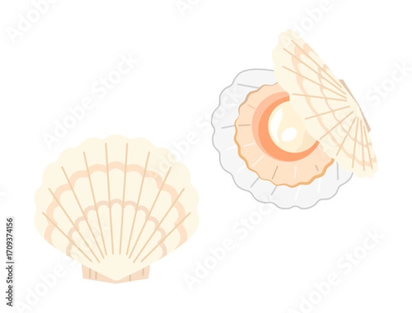 Obraz 白いホタテ貝のイラストのセット