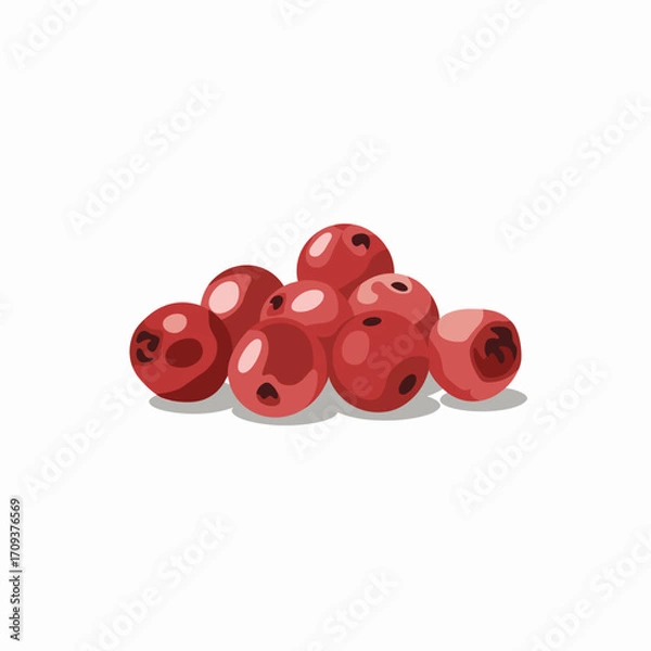 Obraz Pink Peppercorns Vector Illustration