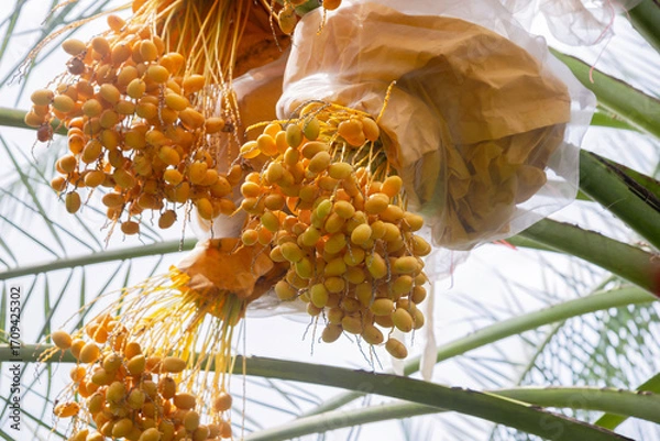 Fototapeta Generated image