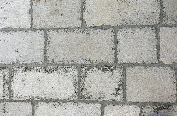 Fototapeta white brick wall