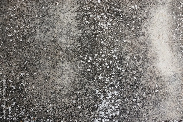 Obraz gray wall with cement