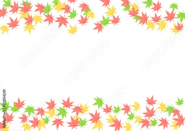 Fototapeta モミジ