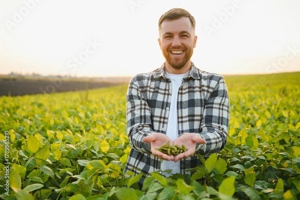 Fototapeta Agronomist inspecting soya bean crops growing in the farm field. Agriculture production concept. young agronomist examines soybean crop on field in summer.
