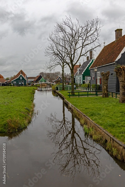 Obraz Zaanse Schans