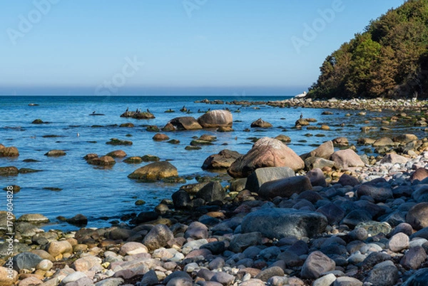 Fototapeta Rocky shoreline with boulders at Cape Arkona on the island of Rügen Germany