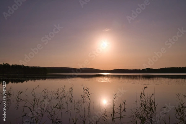 Fototapeta Sunrise at the lake with reeds and forest reflections in golden morning light