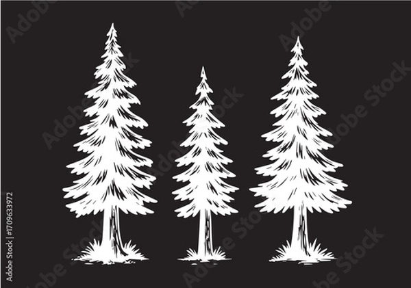 Fototapeta Spruce vector sketch on a black background. A black and white fairytale spruce silhouette on a black background