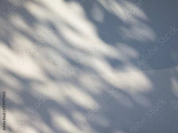 Fototapeta Soft tree shadow patterns on gray concrete wall outdoors
