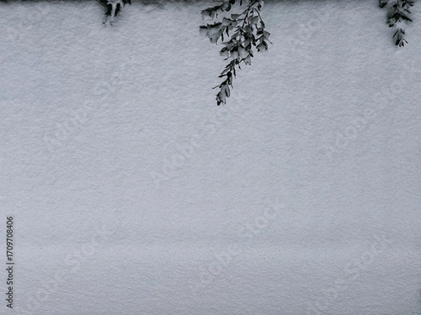 Fototapeta Minimalist Winter Background with a Single Snowy Branch