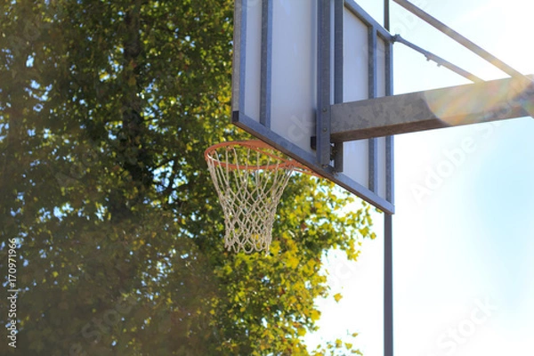 Obraz basketball hoop backyard