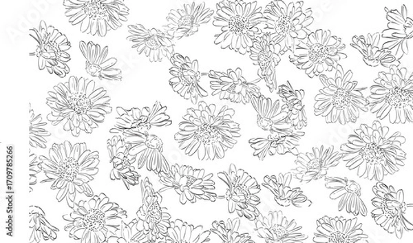 Fototapeta set of black and white flowers. Natural background in minimal style