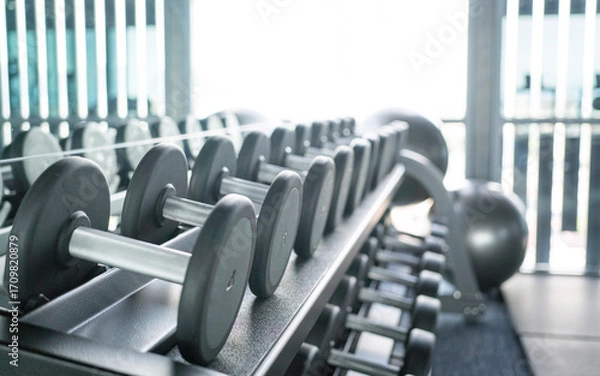 Fototapeta Rack of Dumbbells at an Indoor Gym
