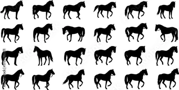 Obraz set of equestrian silhouette black and white in many profile side front view.