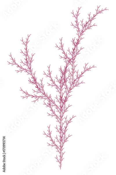 Fototapeta Flat Vector Computer Generated  L-system Branching Fractal  - Isolated Seaweed - Generative Art  
