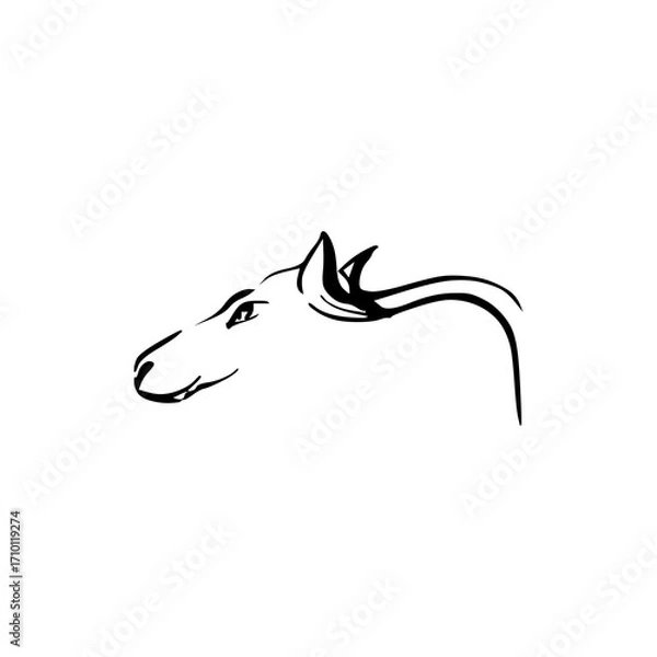 Obraz horse logo