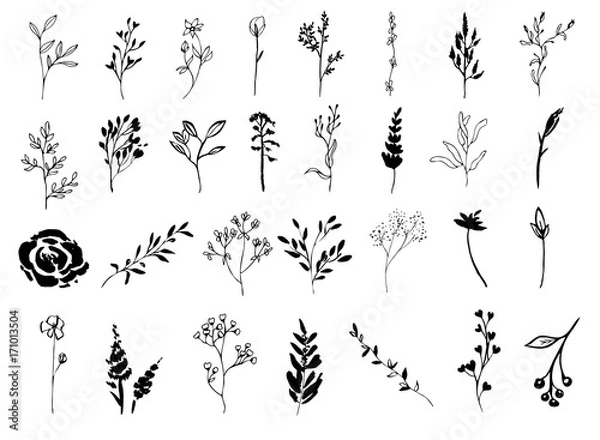 Obraz Set of Floral Elements