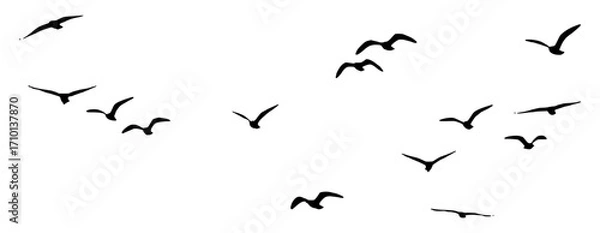 Fototapeta A flock of birds flying south