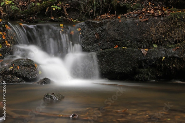 Obraz Scaleber Force Waterfall over black rocks and fallen colorful leaves.