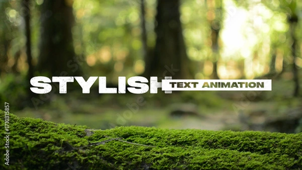 Fototapeta Text Animations Template for Social Media