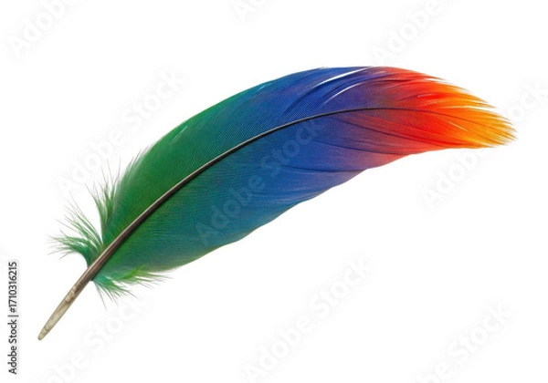 Fototapeta Vibrant feather showcasing a gradient of colors against a transparent background, ideal for design use