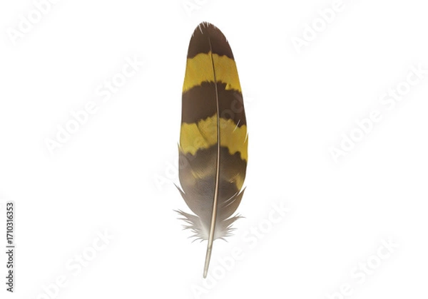 Fototapeta Vibrant feather with striking yellow and brown patterns against a plain background, showcasing nature's beauty