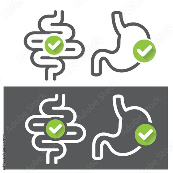 Fototapeta Stomach and intestines with a checkmark, a symbol for healthy organs