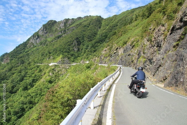 Obraz 瓶が森林道