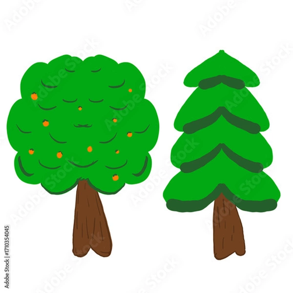 Obraz green pine tree