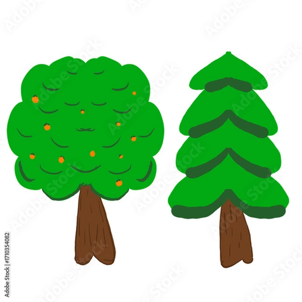 Obraz green pine tree